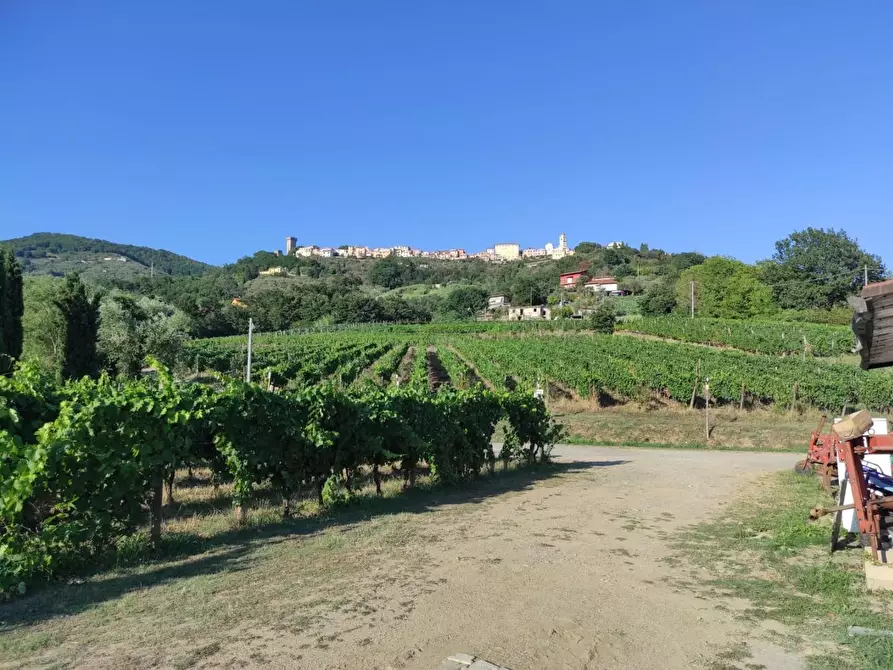 Immagine 54 di Agriturismo in vendita  a Castelnuovo Magra