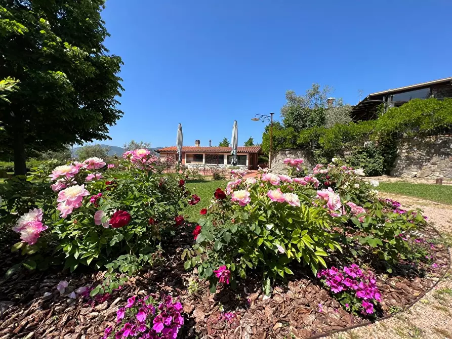 Immagine 49 di Agriturismo in vendita  a Castelnuovo Magra