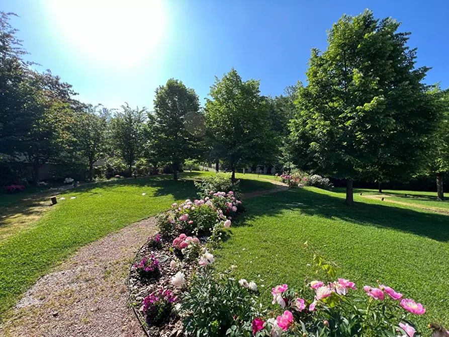 Immagine 7 di Agriturismo in vendita  a Castelnuovo Magra