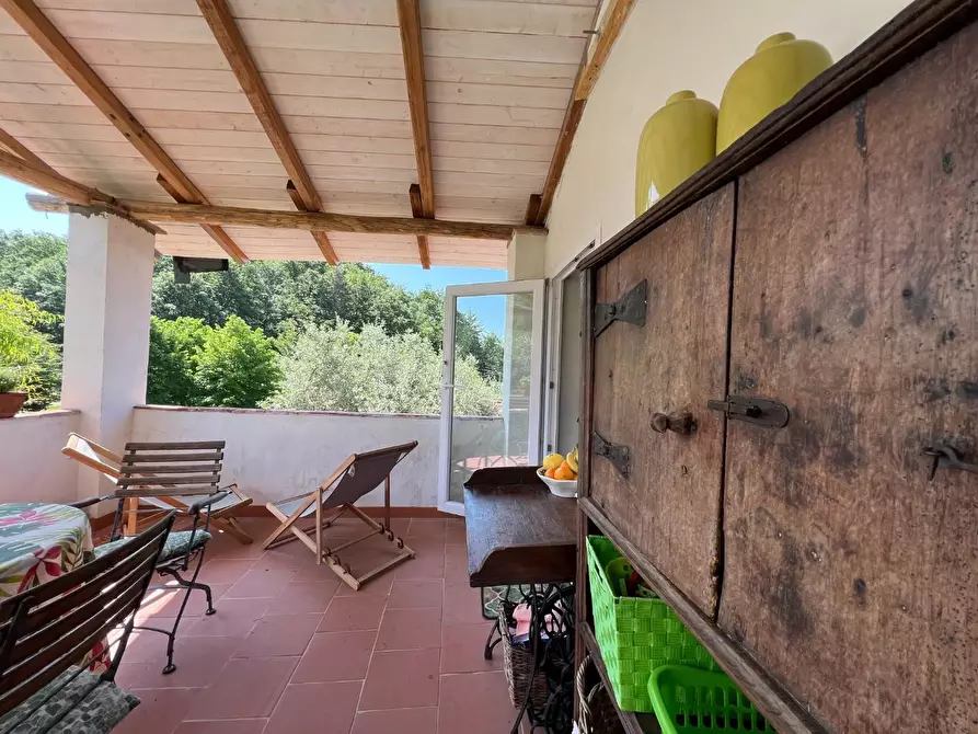 Immagine 43 di Agriturismo in vendita  a Castelnuovo Magra