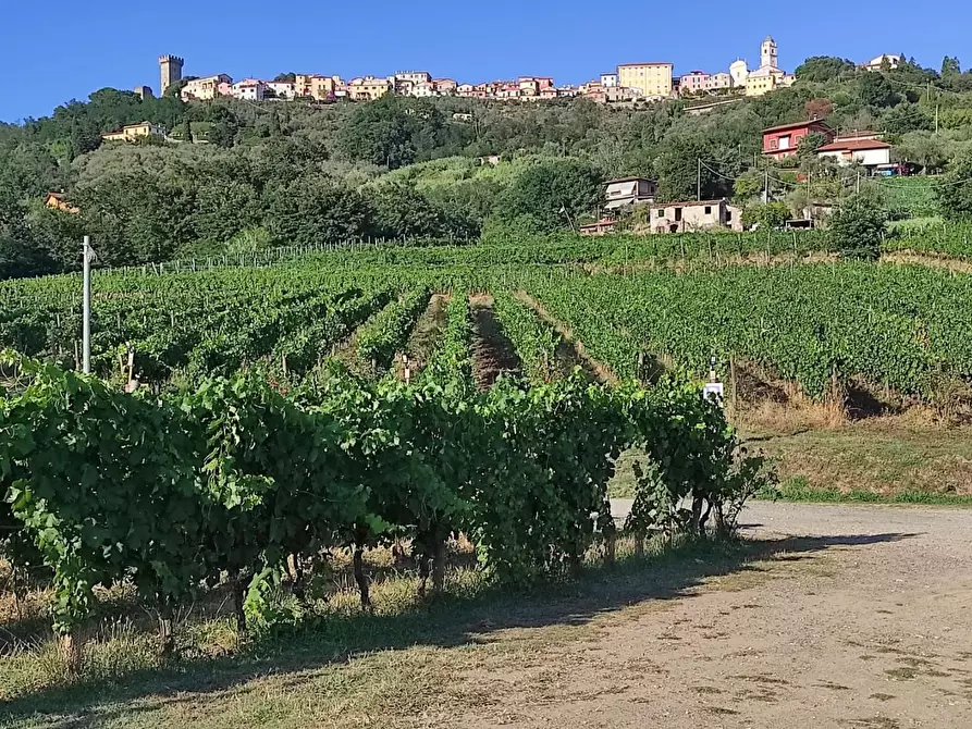Immagine 50 di Agriturismo in vendita  a Castelnuovo Magra