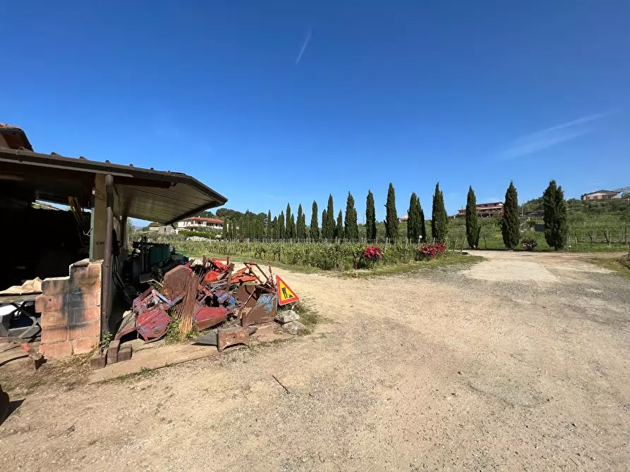 Immagine 2 di Agriturismo in vendita  a Castelnuovo Magra