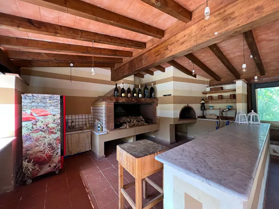 Immagine 14 di Agriturismo in vendita  a Castelnuovo Magra