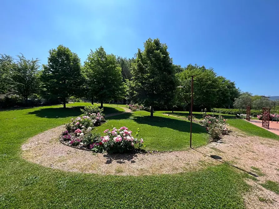 Immagine 45 di Agriturismo in vendita  a Castelnuovo Magra