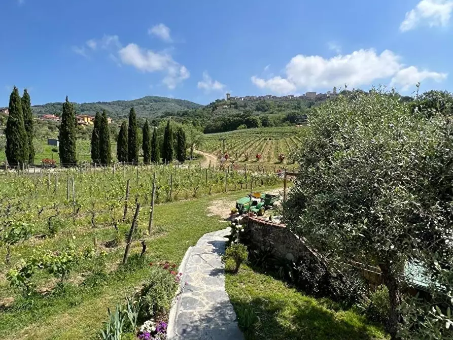 Immagine 42 di Agriturismo in vendita  a Castelnuovo Magra