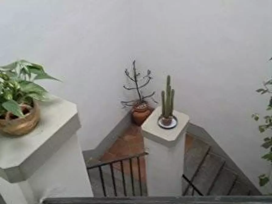 Immagine 24 di Appartamento in vendita  a Montopoli In Val D'arno