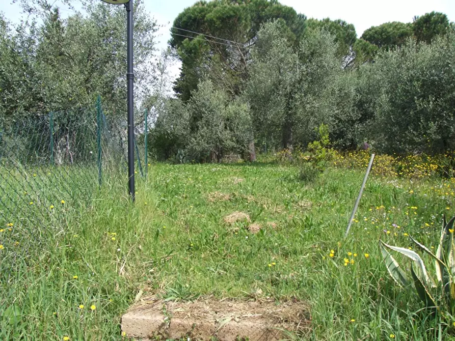 Immagine 14 di Terratetto in vendita  a Montopoli In Val D'arno