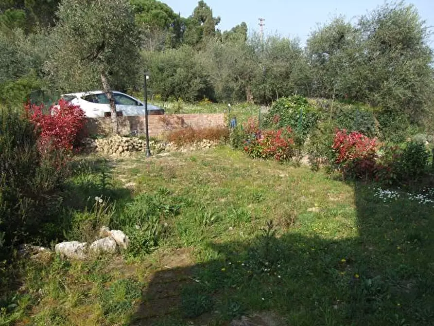 Immagine 13 di Terratetto in vendita  a Montopoli In Val D'arno