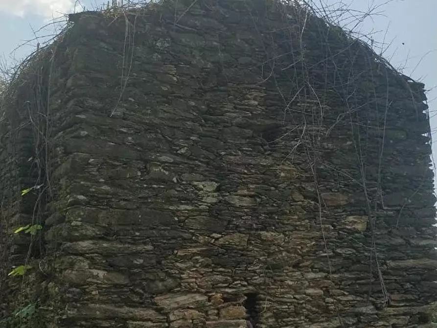 Immagine 2 di Rustico / casale in vendita  a Montignoso