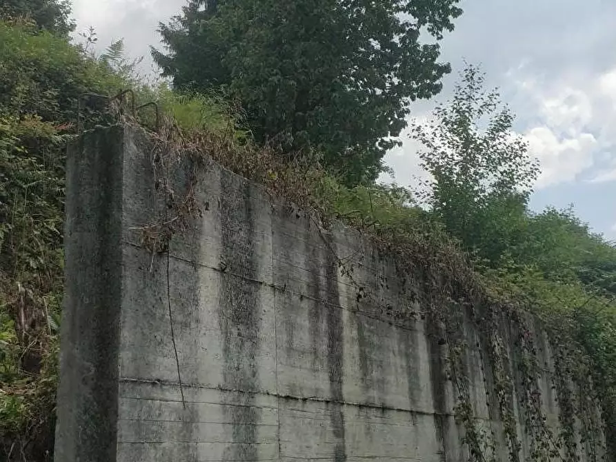 Immagine 4 di Rustico / casale in vendita  a Montignoso