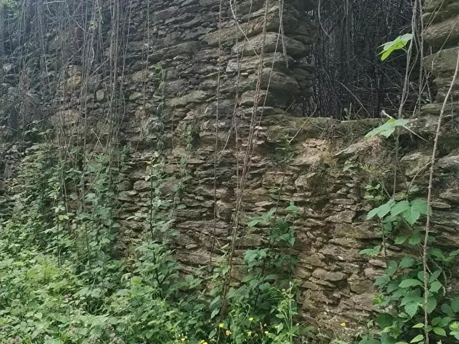 Immagine 6 di Rustico / casale in vendita  a Montignoso