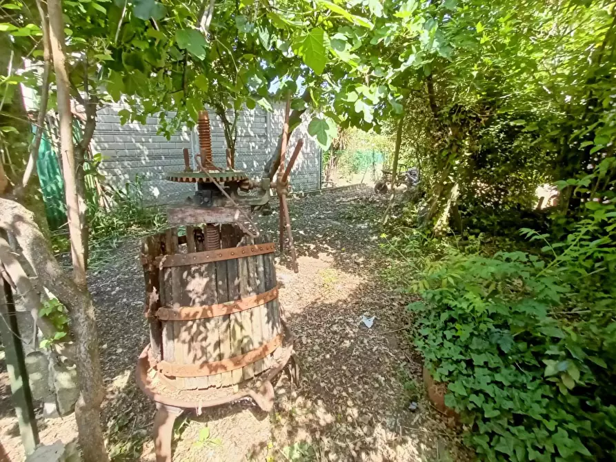 Immagine 13 di Rustico / casale in vendita  a Cascina