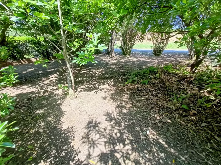 Immagine 8 di Rustico / casale in vendita  a Cascina