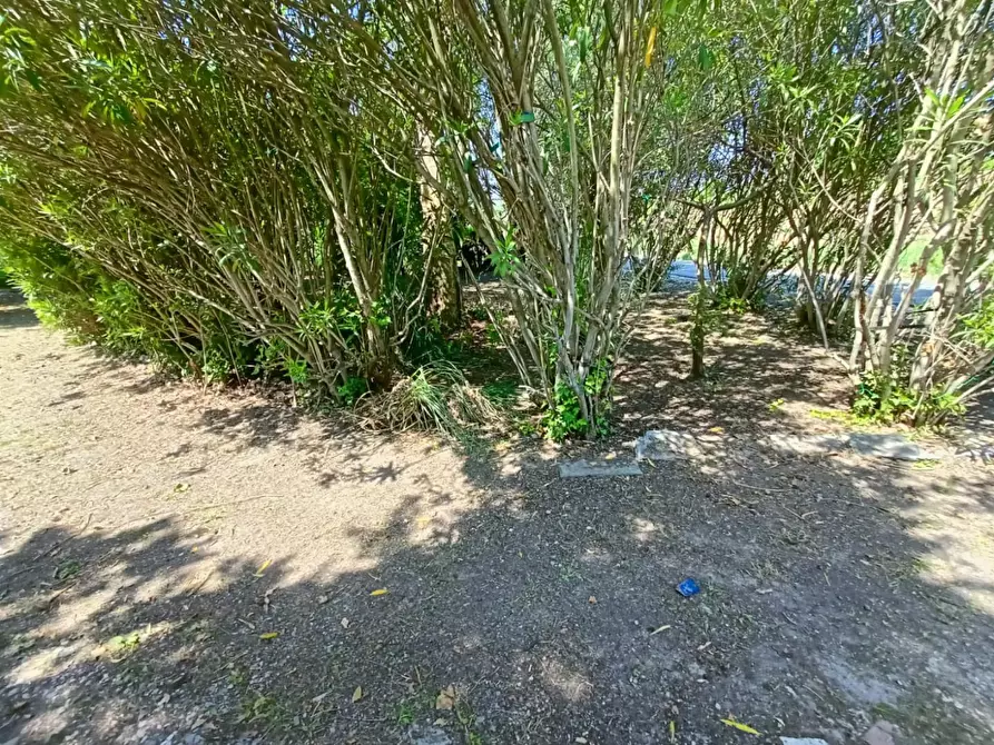 Immagine 12 di Rustico / casale in vendita  a Cascina