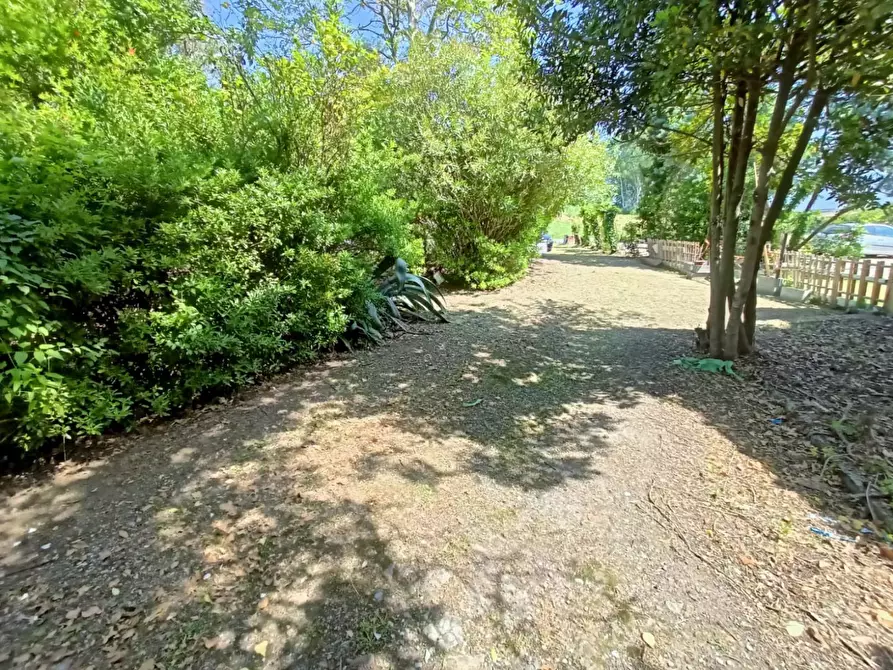 Immagine 6 di Rustico / casale in vendita  a Cascina