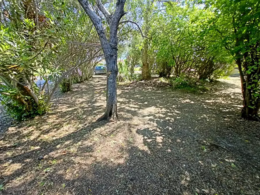 Immagine 11 di Rustico / casale in vendita  a Cascina