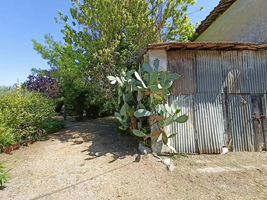 Immagine 5 di Rustico / casale in vendita  a Cascina