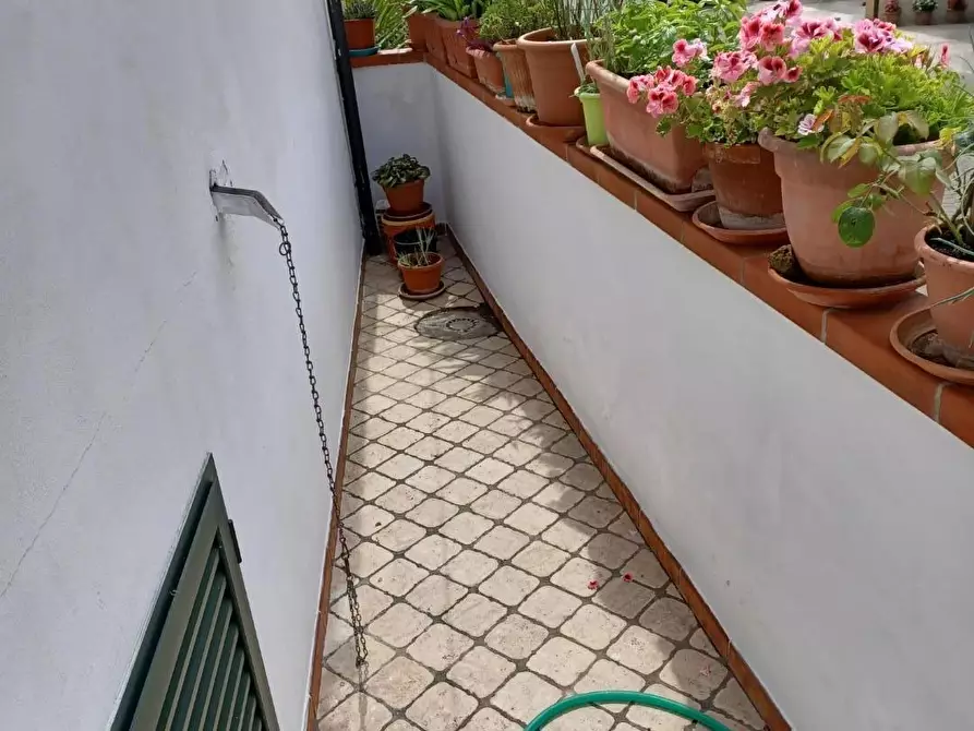 Immagine 33 di Terratetto in vendita  a Capraia E Limite