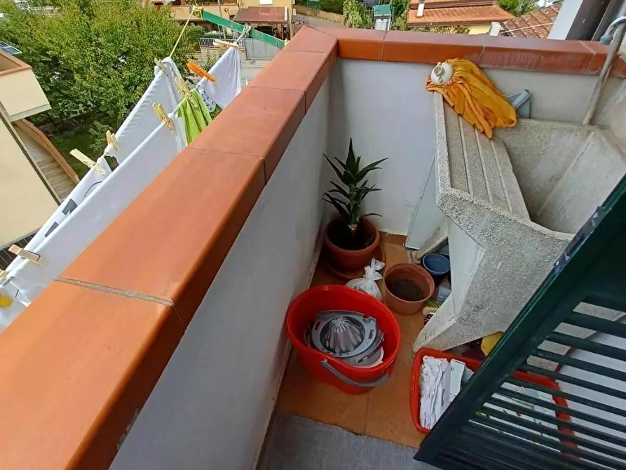 Immagine 17 di Terratetto in vendita  a Capraia E Limite