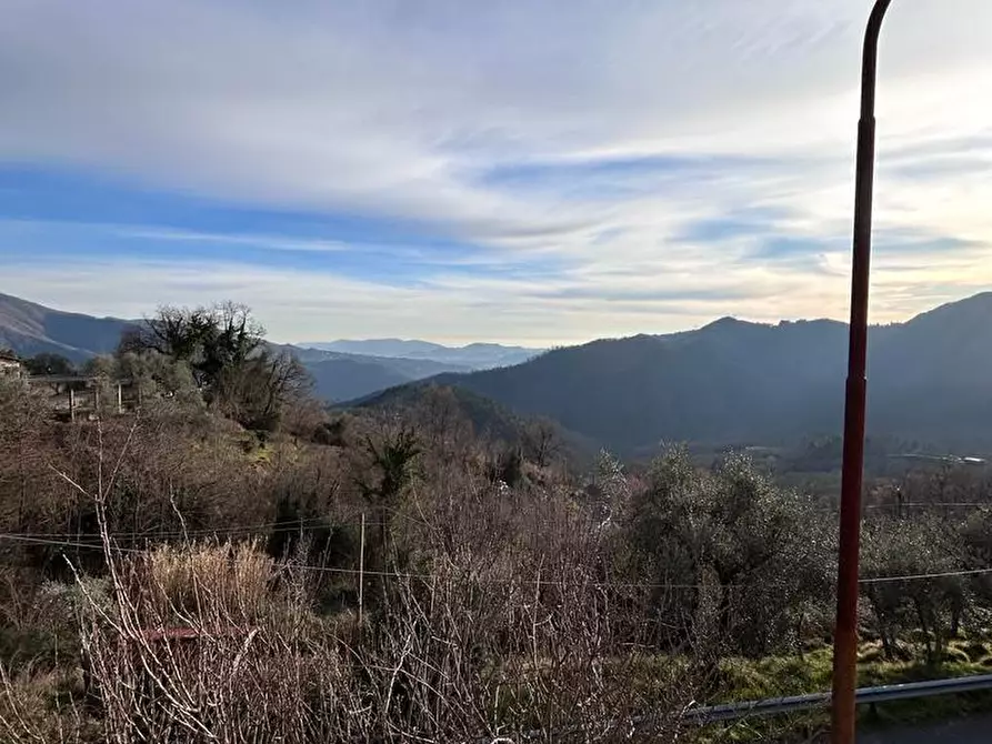 Immagine 31 di Villa in vendita  a Podenzana