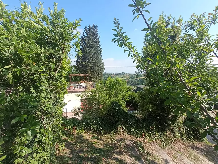 Immagine 6 di Appartamento in vendita  a Montopoli In Val D'arno