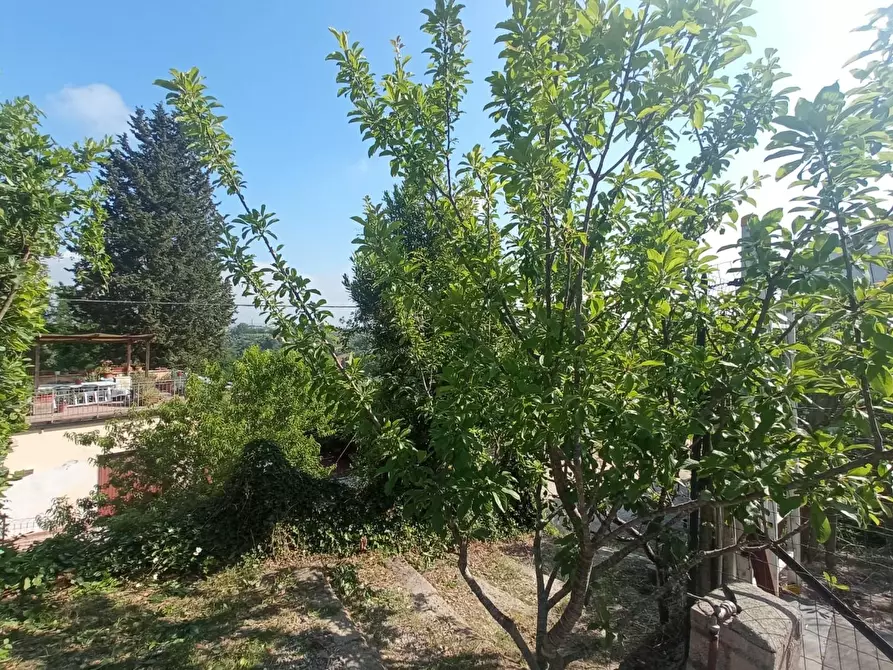 Immagine 7 di Appartamento in vendita  a Montopoli In Val D'arno