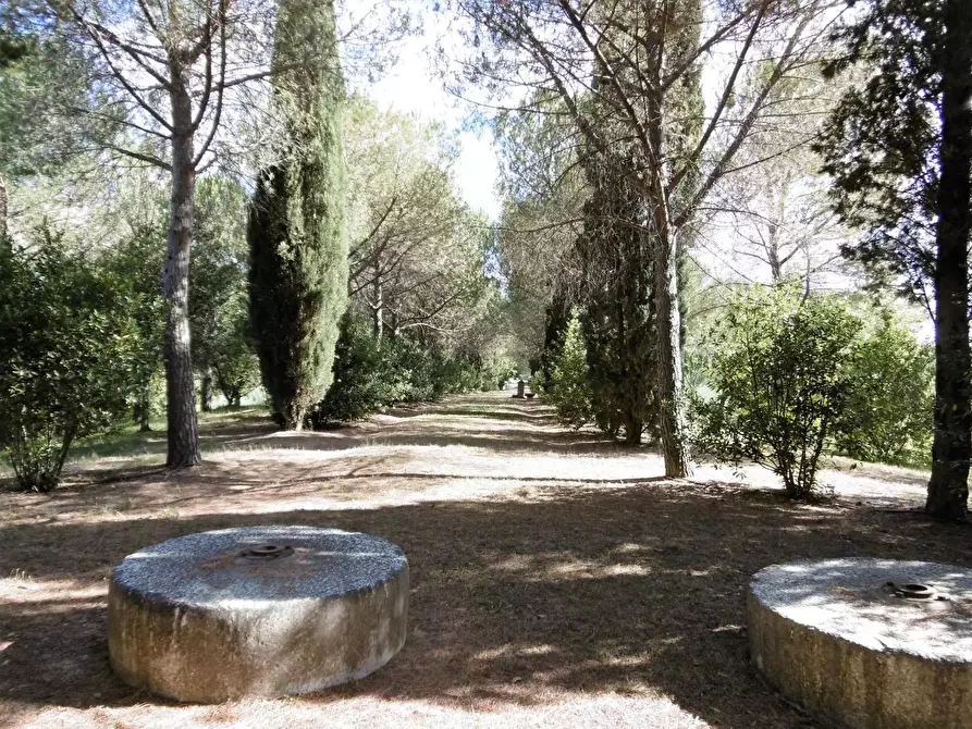 Immagine 2 di Villa in vendita  a Cerreto Guidi