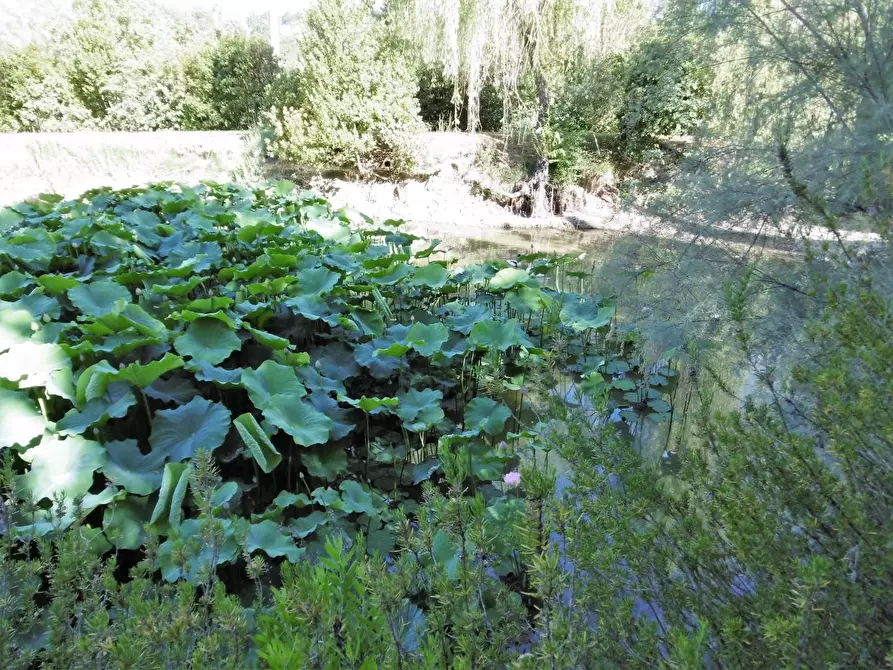 Immagine 17 di Villa in vendita  a Cerreto Guidi