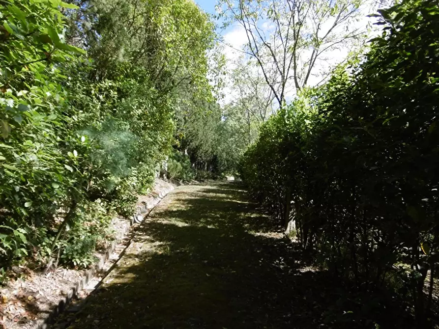 Immagine 18 di Villa in vendita  a Cerreto Guidi