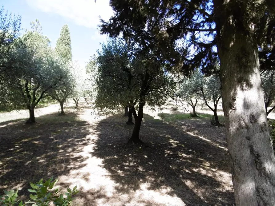 Immagine 19 di Villa in vendita  a Cerreto Guidi