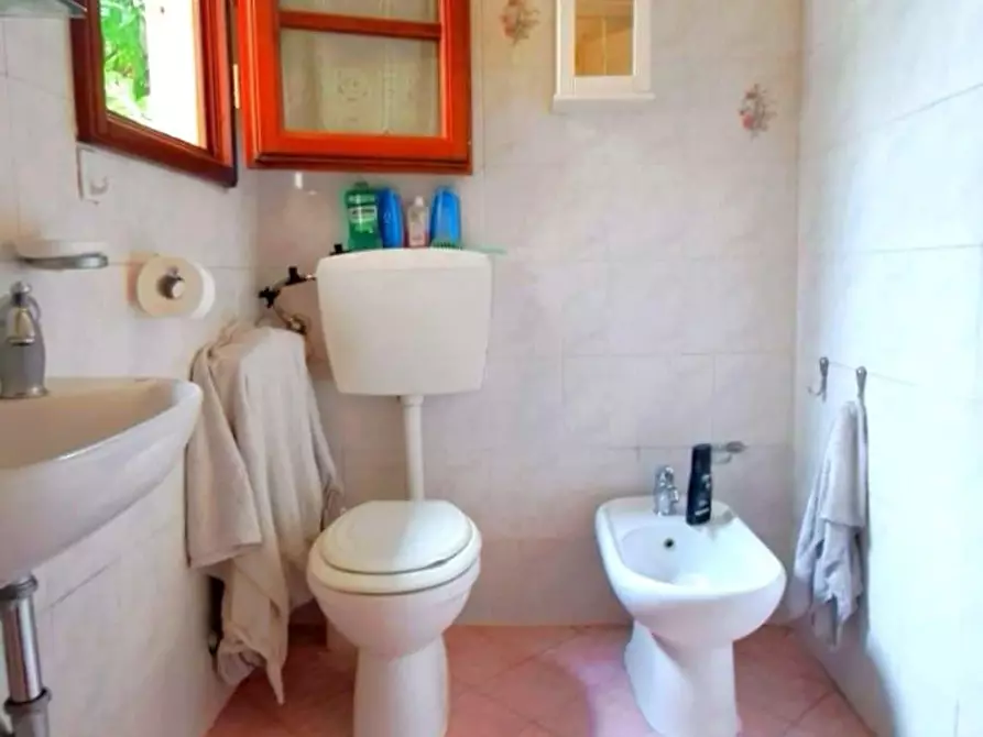 Immagine 11 di Terratetto in vendita  a Viareggio