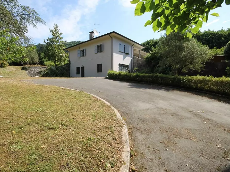 Immagine 4 di Villa in vendita  a Camaiore