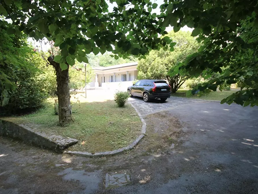 Immagine 2 di Villa in vendita  a Camaiore