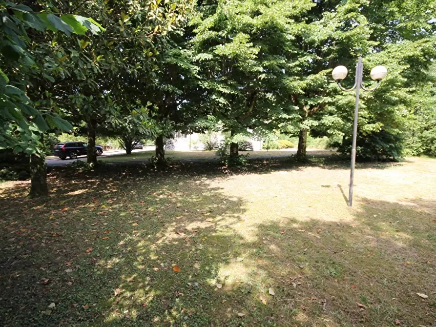 Immagine 6 di Villa in vendita  a Camaiore