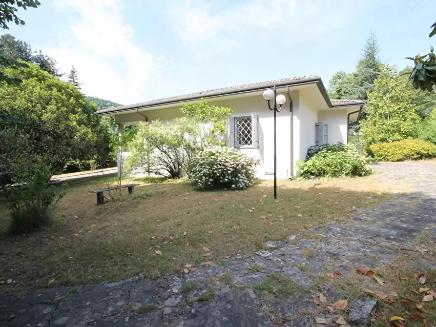 Immagine 7 di Villa in vendita  a Camaiore