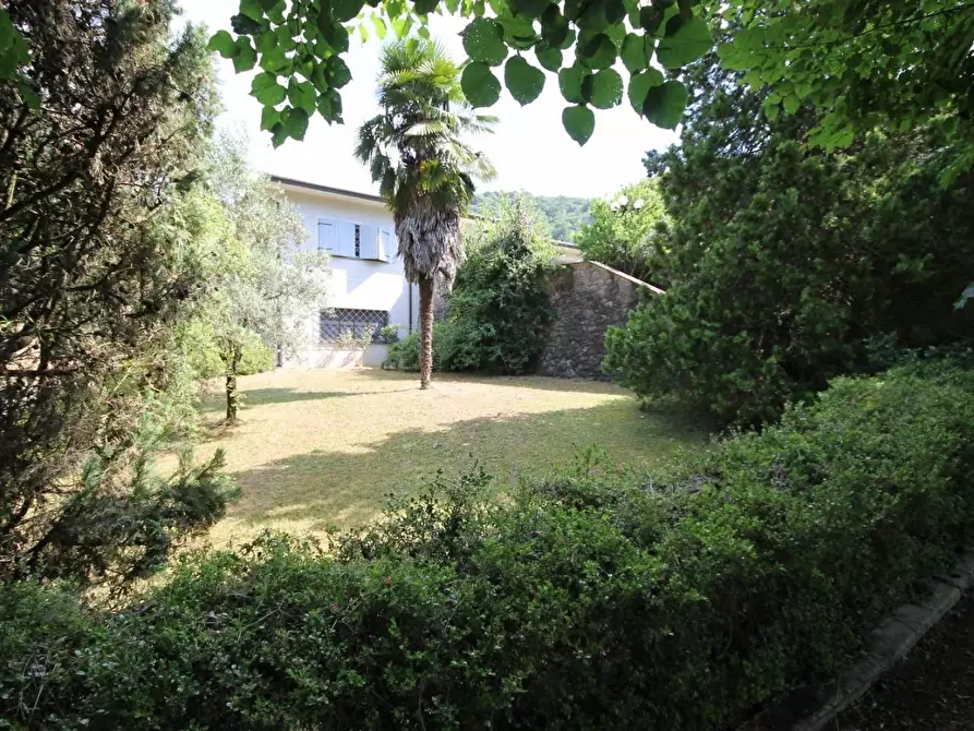 Immagine 3 di Villa in vendita  a Camaiore
