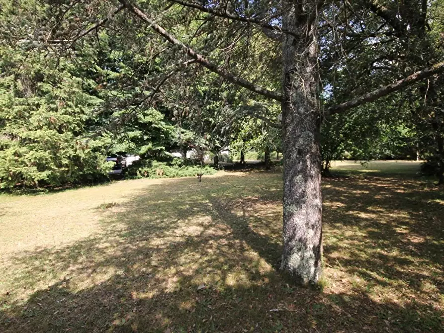 Immagine 5 di Villa in vendita  a Camaiore