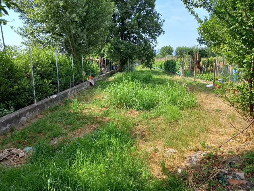 Immagine 2 di Terratetto in vendita  a Capannori