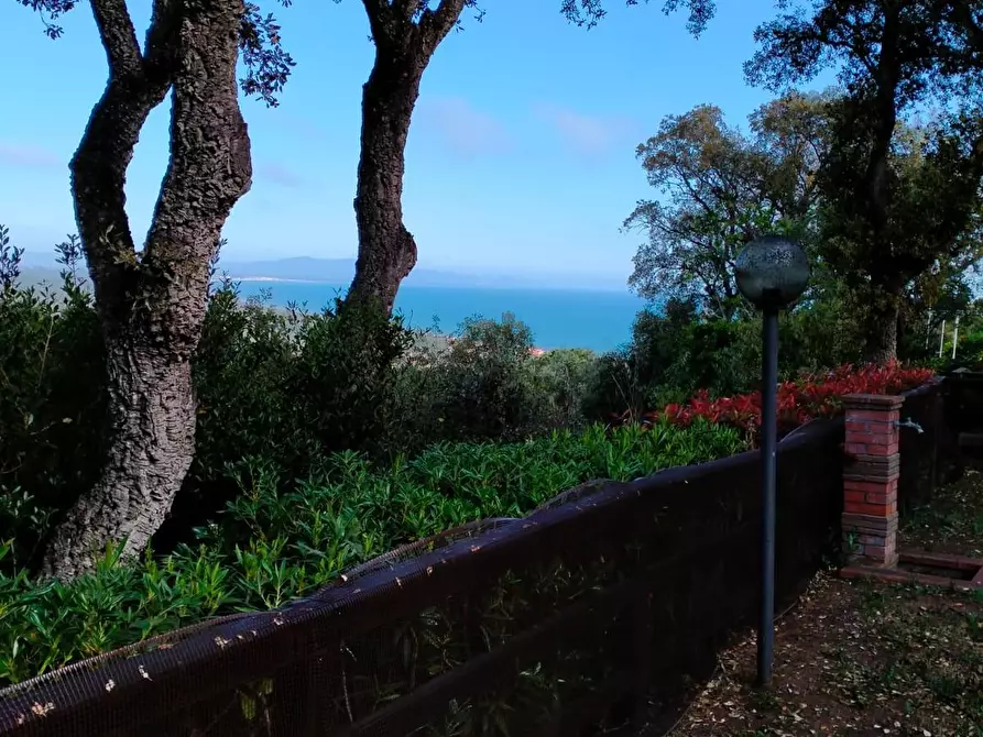 Immagine 2 di Villetta a schiera in vendita  a Castiglione Della Pescaia
