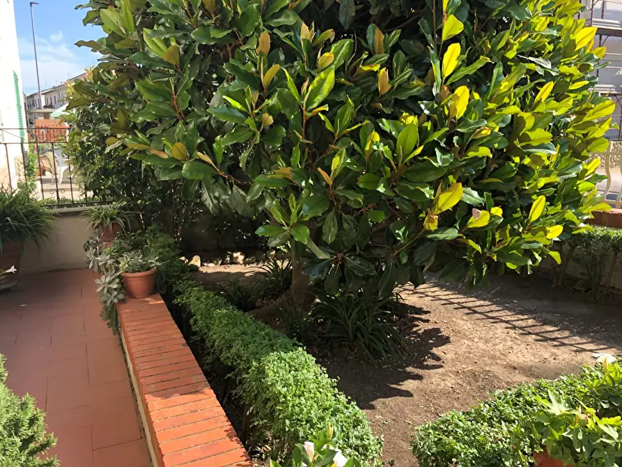 Immagine 24 di Terratetto in vendita  a Empoli