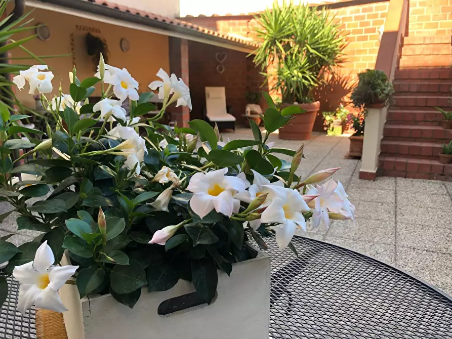 Immagine 27 di Terratetto in vendita  a Empoli