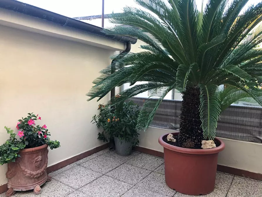 Immagine 28 di Terratetto in vendita  a Empoli