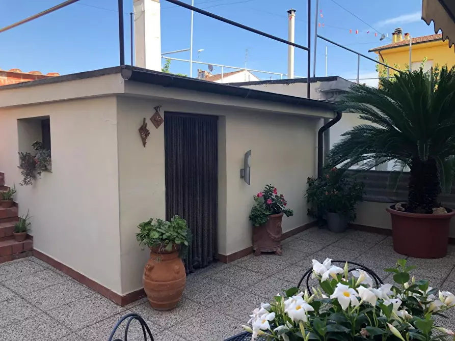 Immagine 9 di Terratetto in vendita  a Empoli