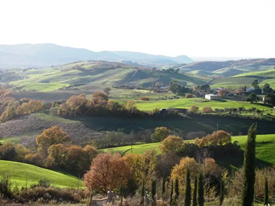 Immagine 20 di Villa in vendita  a Manciano