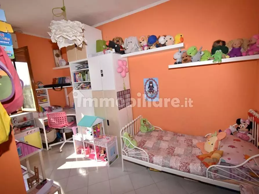 Immagine 9 di Appartamento in vendita  a Vecchiano