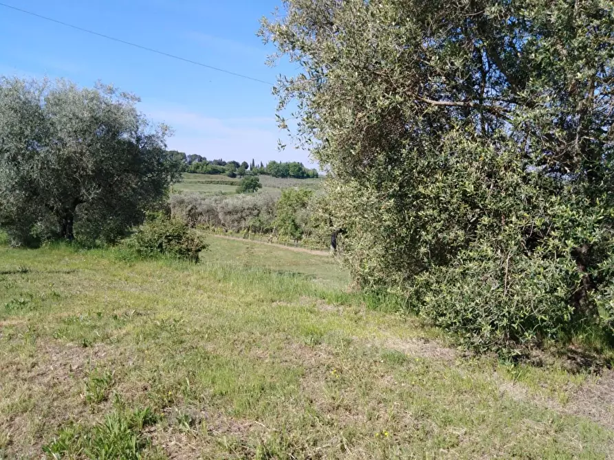 Immagine 65 di Villa in vendita  a San Miniato