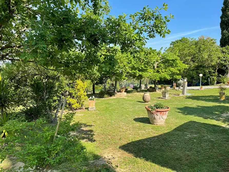 Immagine 59 di Villa in vendita  a San Miniato