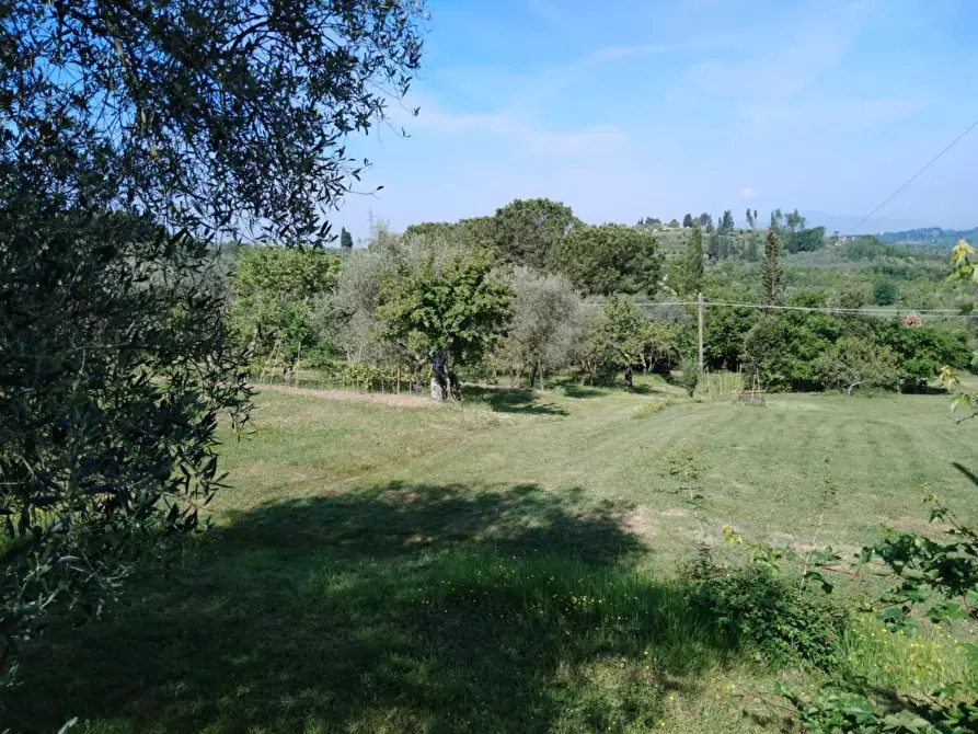 Immagine 64 di Villa in vendita  a San Miniato