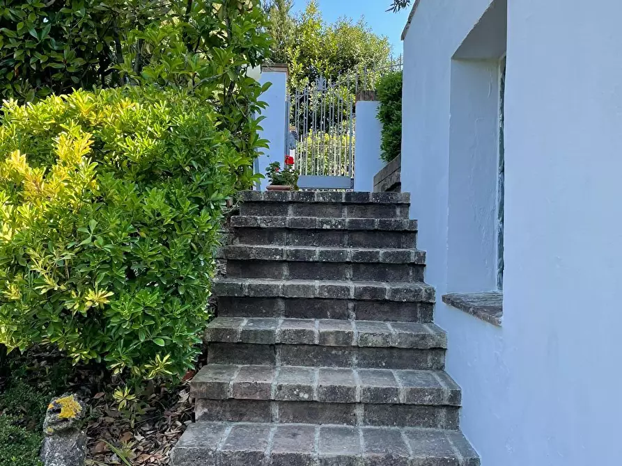 Immagine 35 di Villa in vendita  a San Miniato