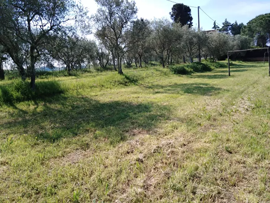 Immagine 63 di Villa in vendita  a San Miniato